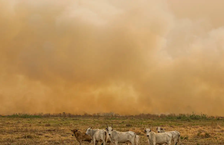 Janeiro tem número de focos de calor duas vezes maior que a média