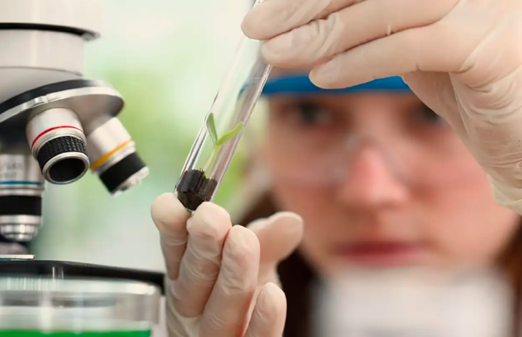 Observatório lança edital do programa Meninas Cientistas do ON