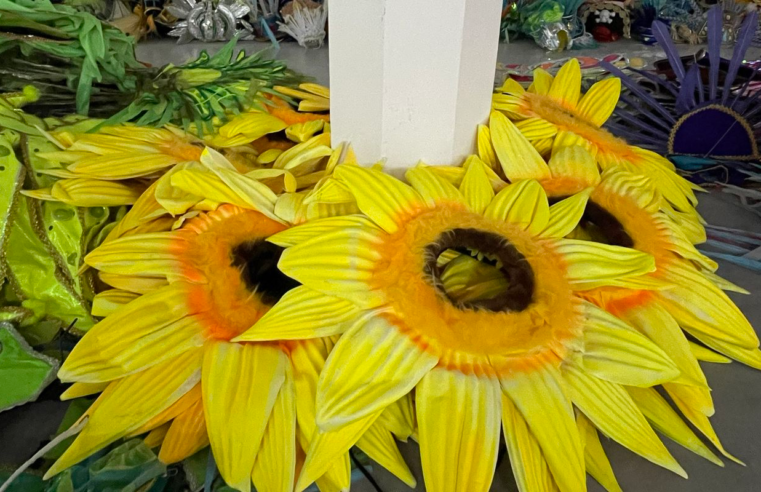 Projeto reaproveita fantasias da Sapucaí para novos foliões