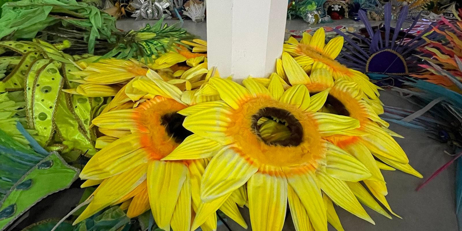 Projeto reaproveita fantasias da Sapucaí para novos foliões