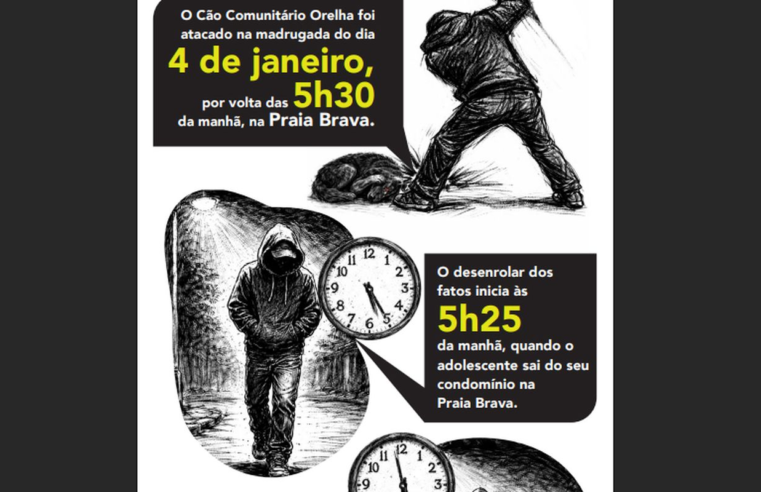 Cão Orelha: Polícia usa imagens e dados de celular para desvendar caso