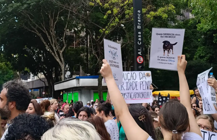 Centenas de pessoas em São Paulo pedem justiça pelo cão Orelha