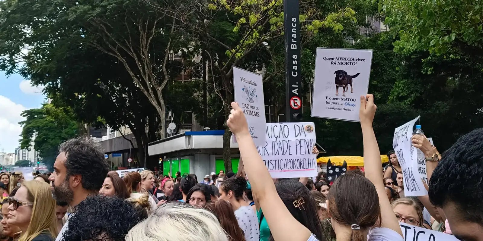 Centenas de pessoas em São Paulo pedem justiça pelo cão Orelha