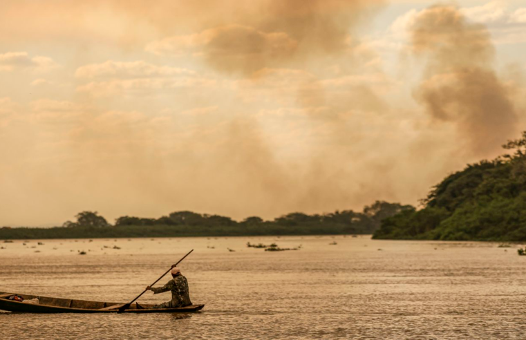Plano Clima é publicado como um guia para economia de baixo carbono
