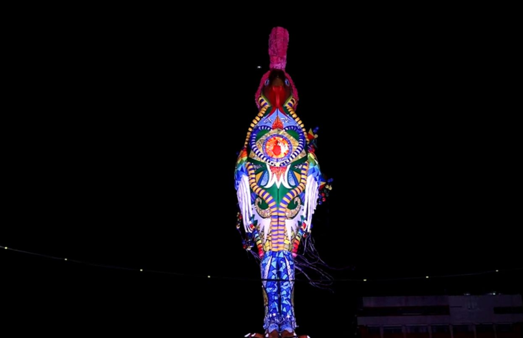 Galo Gigante homenageia Dom Helder Câmara, no Carnaval recifense