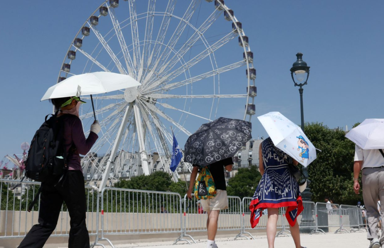Europa: temperatura alta pode elevar transmissão do vírus Chikungunya