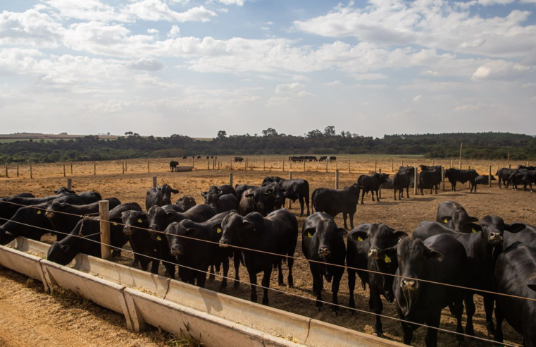 Atividade econômica brasileira cresce 2,5% em 2025