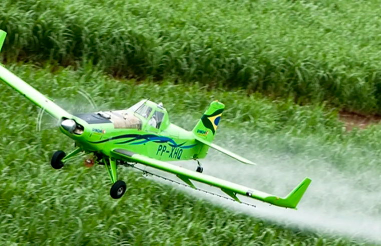 Agrotóxicos estão mais nocivos em todo o mundo, aponta estudo