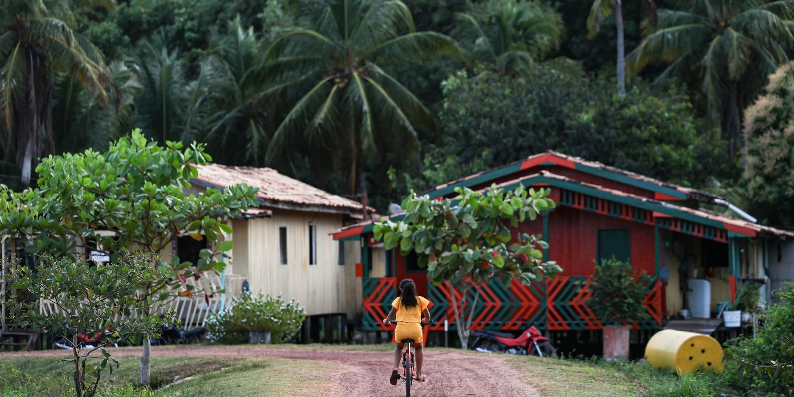 Amazônia Legal concentra quase metade dos conflitos de terra no Brasil