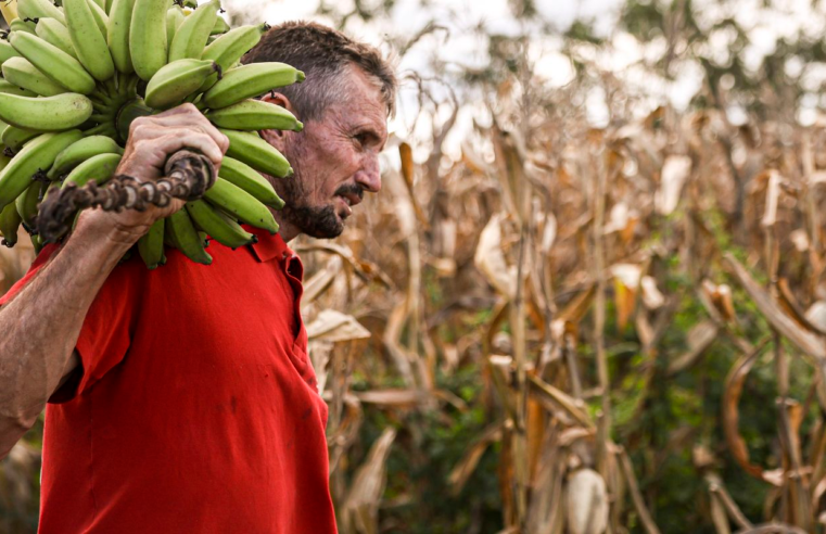 Câmara aprova uso de recursos do FGO em operações do Pronaf