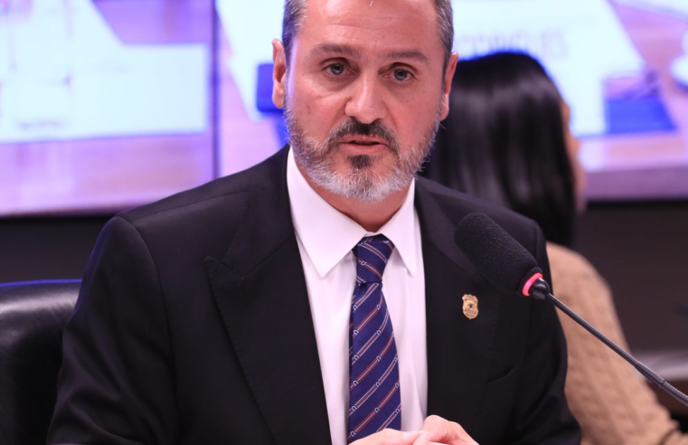 PF tem papel importante no combate ao feminicídio, diz diretor-geral