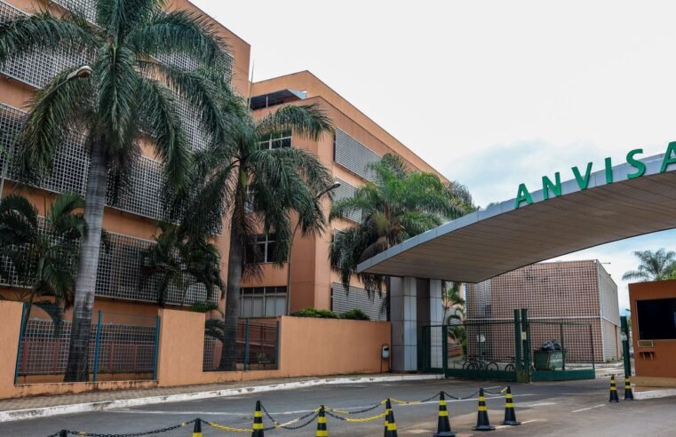 Anvisa: suplementos com cúrcuma podem trazer risco de danos ao fígado