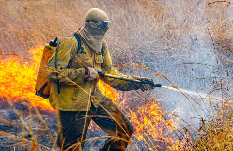 Governo divulga planejamento para enfrentar incêndios em 2026