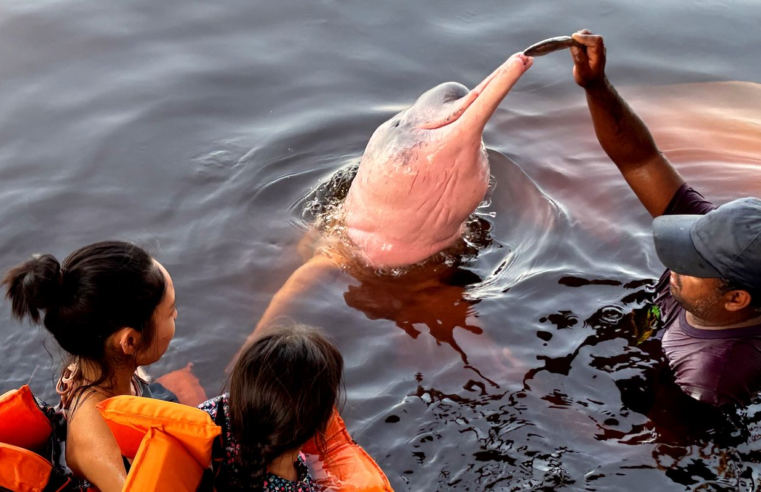 Insegurança é barreira para 62% das mulheres viajarem sozinhas