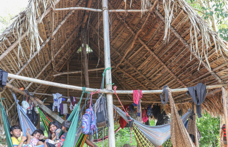 Povo Parakanã, do Pará, reocupa território após retirada de invasores 