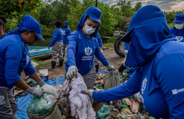 Comunidade transforma cenário ambiental da Baía de Guanabara