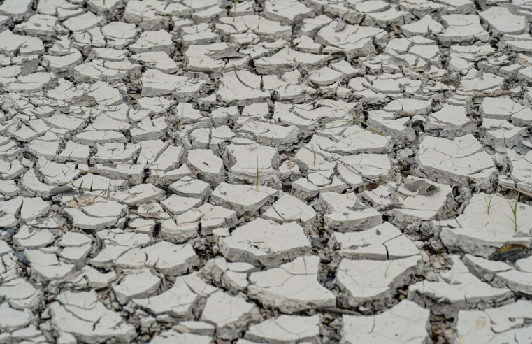Estiagem: quinze cidades têm situação de emergência decretada