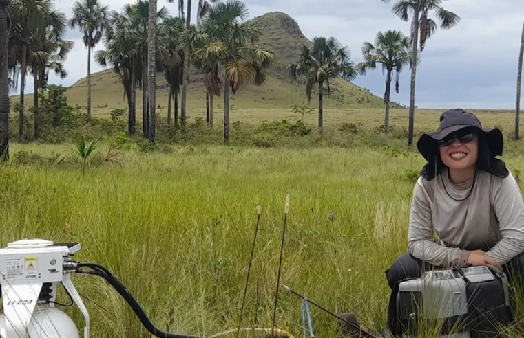 Estudo indica que Cerrado pode armazenar mais carbono que Amazônia